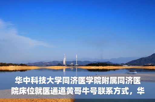 华中科技大学同济医学院附属同济医院床位就医通道黄哥牛号联系方式，华中科技大学同济医院床位就医通道，黄哥牛号联系方式揭秘
