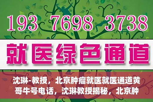 沈琳-教授，北京肿瘤就医就医通道黄哥牛号电话，沈琳教授揭秘，北京肿瘤就医通道牛号电话与就医攻略