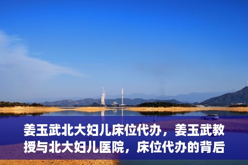 姜玉武北大妇儿床位代办，姜玉武教授与北大妇儿医院，床位代办的背后故事