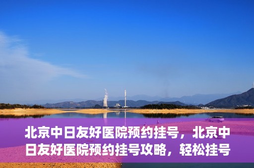 北京中日友好医院预约挂号，北京中日友好医院预约挂号攻略，轻松挂号，就医无忧