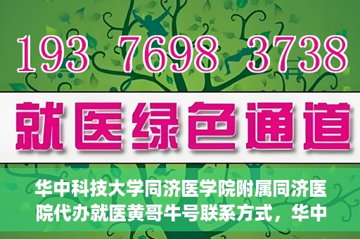 华中科技大学同济医学院附属同济医院代办就医黄哥牛号联系方式，华中科技大学同济医院就医黄哥牛号联系方式及代办服务解析