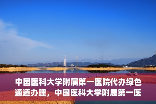中国医科大学附属第一医院代办绿色通道办理，中国医科大学附属第一医院绿色通道代办服务详解