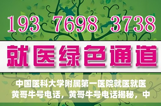 中国医科大学附属第一医院就医就医黄哥牛号电话，黄哥牛号电话揭秘，中国医科大学附属第一医院就医指南与就医体验分享