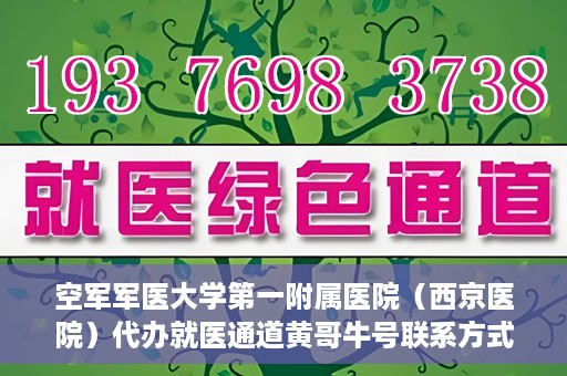 空军军医大学第一附属医院（西京医院）代办就医通道黄哥牛号联系方式，空军军医大学第一附属医院就医通道代办联系方式揭秘，黄哥牛号助您便捷就医