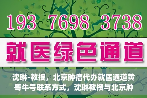 沈琳-教授，北京肿瘤代办就医通道黄哥牛号联系方式，沈琳教授与北京肿瘤就医通道，黄哥牛号联系方式揭秘