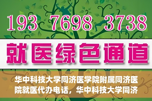 华中科技大学同济医学院附属同济医院就医代办电话，华中科技大学同济医学院附属同济医院就医代办服务热线介绍