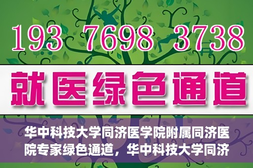 华中科技大学同济医学院附属同济医院专家绿色通道，华中科技大学同济医院专家绿色通道，专业医疗服务的快速通道