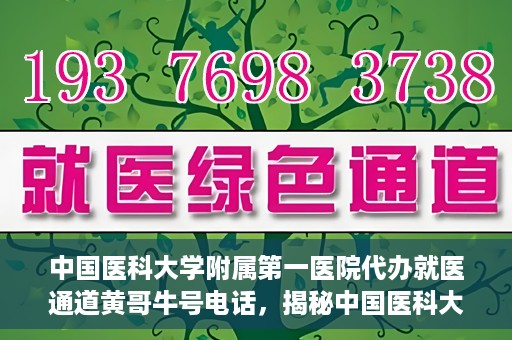 中国医科大学附属第一医院代办就医通道黄哥牛号电话，揭秘中国医科大学附属第一医院就医通道代办服务，黄哥牛号电话全解析