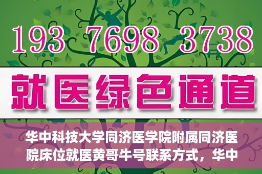 华中科技大学同济医学院附属同济医院床位就医黄哥牛号联系方式，华中科技大学同济医院床位就医信息及黄哥牛号联系方式揭秘