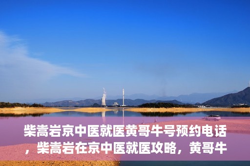 柴嵩岩京中医就医黄哥牛号预约电话，柴嵩岩在京中医就医攻略，黄哥牛号预约电话全解析