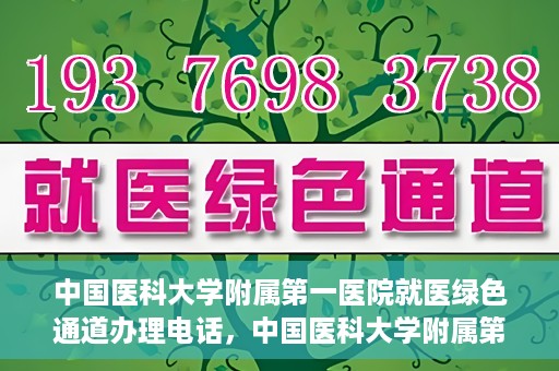 中国医科大学附属第一医院就医绿色通道办理电话，中国医科大学附属第一医院就医绿色通道服务热线及办理流程详解