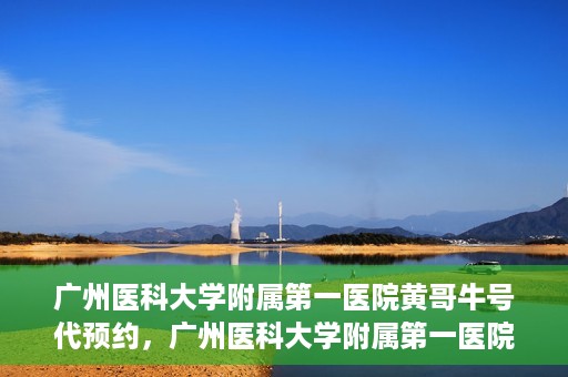 广州医科大学附属第一医院黄哥牛号代预约，广州医科大学附属第一医院黄哥名医号预约攻略