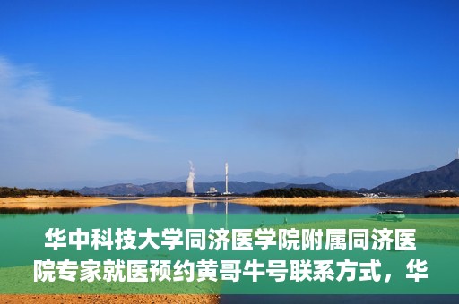 华中科技大学同济医学院附属同济医院专家就医预约黄哥牛号联系方式，华中科技大学同济医院专家预约挂号指南，黄哥牛号联系方式全解析