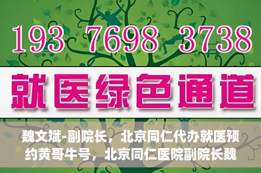 魏文斌-副院长，北京同仁代办就医预约黄哥牛号，北京同仁医院副院长魏文斌揭秘，黄哥牛号助您轻松预约就医新攻略