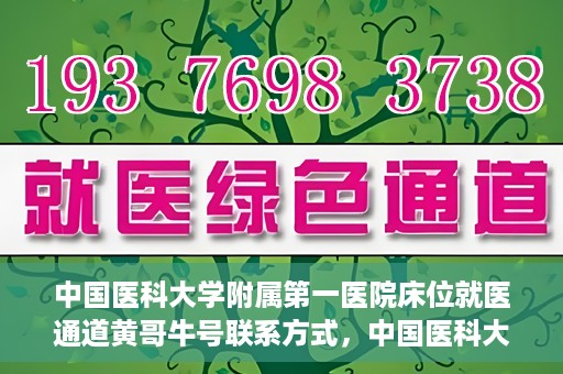 中国医科大学附属第一医院床位就医通道黄哥牛号联系方式，中国医科大学附属第一医院床位就医通道，黄哥牛号联系方式全解析