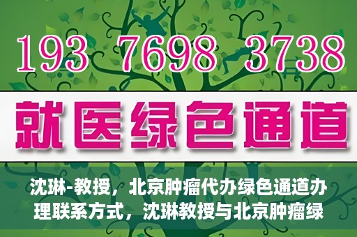 沈琳-教授，北京肿瘤代办绿色通道办理联系方式，沈琳教授与北京肿瘤绿色通道，便捷办理联系方式揭秘