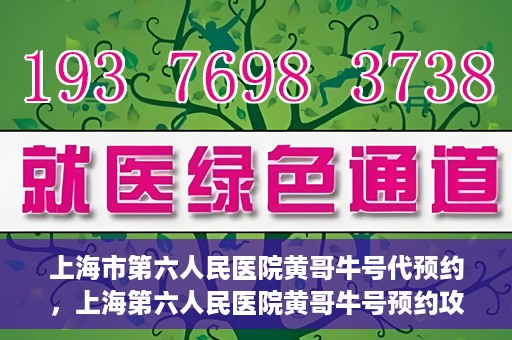 上海市第六人民医院黄哥牛号代预约，上海第六人民医院黄哥牛号预约攻略，轻松解决挂号难题