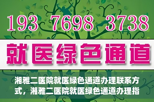 湘雅二医院就医绿色通道办理联系方式，湘雅二医院就医绿色通道办理指南，快速联系方式与办理流程解析