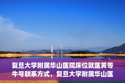 复旦大学附属华山医院床位就医黄哥牛号联系方式，复旦大学附属华山医院床位预约及黄哥牛号联系方式解析