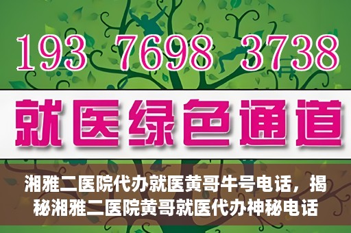 湘雅二医院代办就医黄哥牛号电话，揭秘湘雅二医院黄哥就医代办神秘电话背后的故事