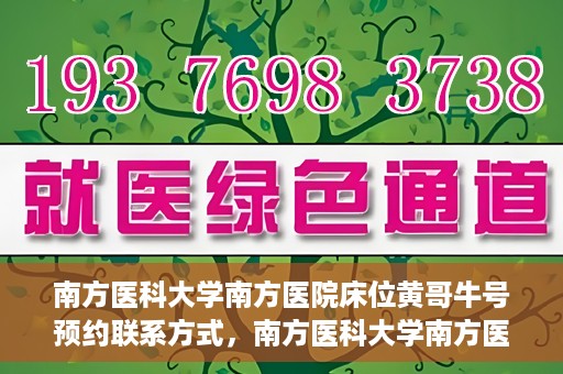 南方医科大学南方医院床位黄哥牛号预约联系方式，南方医科大学南方医院床位预约攻略，黄哥牛号预约联系方式揭秘