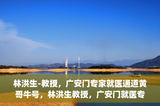 林洪生-教授，广安门专家就医通道黄哥牛号，林洪生教授，广安门就医专家通道揭秘，黄哥牛号引领健康之路