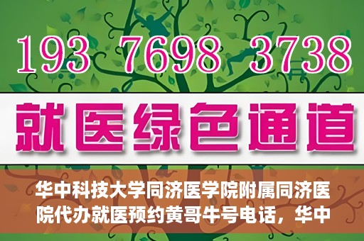 华中科技大学同济医学院附属同济医院代办就医预约黄哥牛号电话，华中科技大学同济医院预约就医黄哥牛号电话代办服务介绍