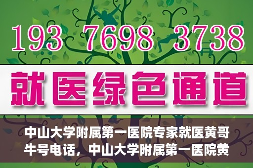 中山大学附属第一医院专家就医黄哥牛号电话，中山大学附属第一医院黄哥牛号专家就医电话揭秘