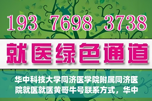 华中科技大学同济医学院附属同济医院就医就医黄哥牛号联系方式，华中科技大学同济医院就医指南，黄哥牛号联系方式揭秘