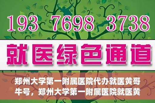 郑州大学第一附属医院代办就医黄哥牛号，郑州大学第一附属医院就医黄哥牛号代办服务解析