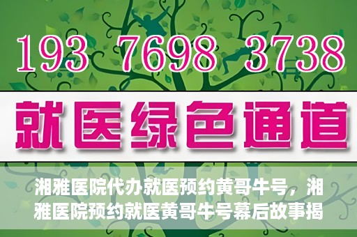 湘雅医院代办就医预约黄哥牛号，湘雅医院预约就医黄哥牛号幕后故事揭秘