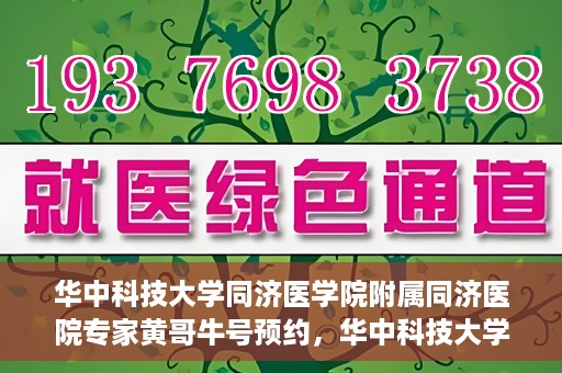 华中科技大学同济医学院附属同济医院专家黄哥牛号预约，华中科技大学同济医院黄哥牛号专家预约指南