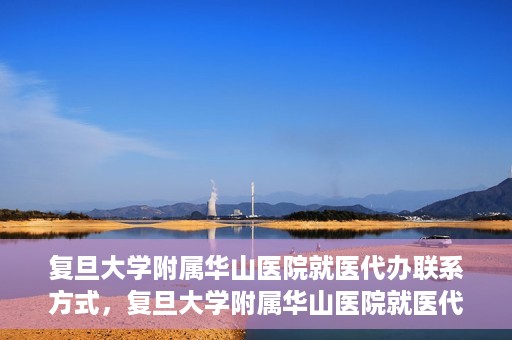 复旦大学附属华山医院就医代办联系方式，复旦大学附属华山医院就医代办服务指南与联系方式解析