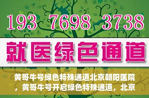黄哥牛号绿色特殊通道北京朝阳医院，黄哥牛号开启绿色特殊通道，北京朝阳医院助力健康之路
