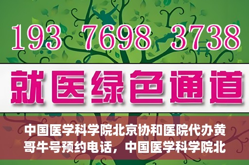 中国医学科学院北京协和医院代办黄哥牛号预约电话，中国医学科学院北京协和医院黄哥预约挂号代办电话及流程解析