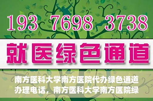 南方医科大学南方医院代办绿色通道办理电话，南方医科大学南方医院绿色通道办理指南及联系电话揭秘