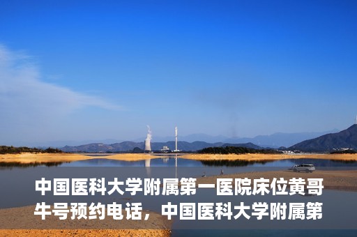 中国医科大学附属第一医院床位黄哥牛号预约电话，中国医科大学附属第一医院床位预约电话及黄哥牛号预约攻略