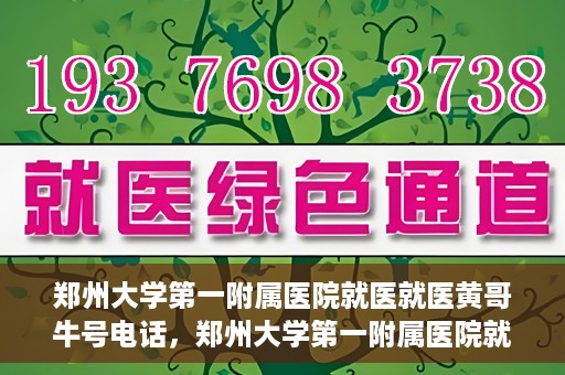 郑州大学第一附属医院就医就医黄哥牛号电话，郑州大学第一附属医院就医黄哥牛号电话详解，就医指南与联系方式揭秘