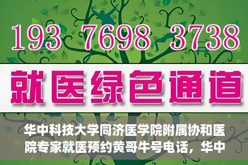 华中科技大学同济医学院附属协和医院专家就医预约黄哥牛号电话，华中科技大学同济医学院附属协和医院专家预约挂号攻略，黄哥牛号电话就医预约指南