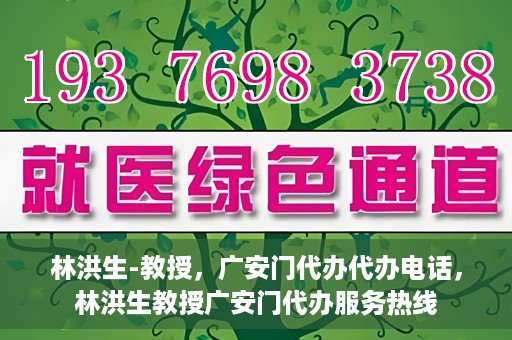 林洪生-教授，广安门代办代办电话，林洪生教授广安门代办服务热线