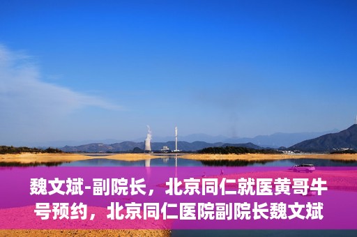 魏文斌-副院长，北京同仁就医黄哥牛号预约，北京同仁医院副院长魏文斌解读黄哥牛号预约就医新策略