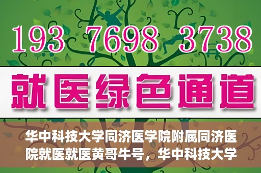 华中科技大学同济医学院附属同济医院就医就医黄哥牛号，华中科技大学同济医院就医体验分享，黄哥牛号就医之旅