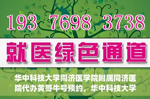 华中科技大学同济医学院附属同济医院代办黄哥牛号预约，华中科技大学同济医院黄哥牛号预约代办服务解析