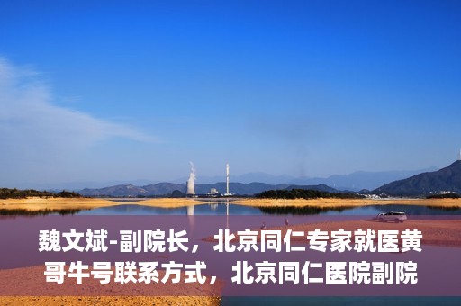 魏文斌-副院长，北京同仁专家就医黄哥牛号联系方式，北京同仁医院副院长魏文斌，黄哥牛号就医联系指南与专家联系方式揭秘
