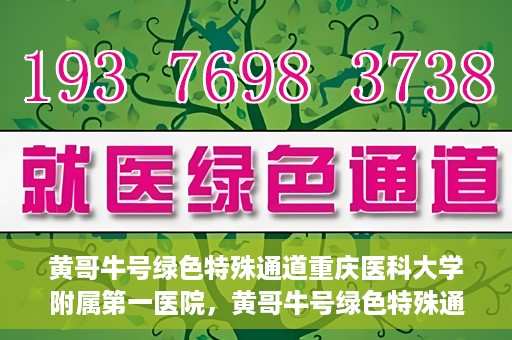 黄哥牛号绿色特殊通道重庆医科大学附属第一医院，黄哥牛号绿色特殊通道，重庆医科大学附属第一医院实践探索