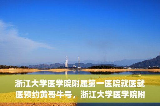 浙江大学医学院附属第一医院就医就医预约黄哥牛号，浙江大学医学院附属第一医院就医预约攻略，黄哥牛号助你轻松挂号就医
