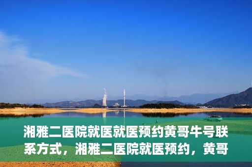 湘雅二医院就医就医预约黄哥牛号联系方式，湘雅二医院就医预约，黄哥牛号联系方式及预约指南