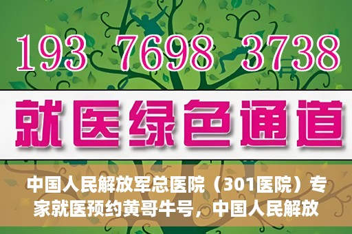 中国人民解放军总医院（301医院）专家就医预约黄哥牛号，中国人民解放军总医院（301医院）黄哥牛号专家预约就医攻略