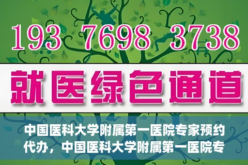 中国医科大学附属第一医院专家预约代办，中国医科大学附属第一医院专家预约代办服务详解