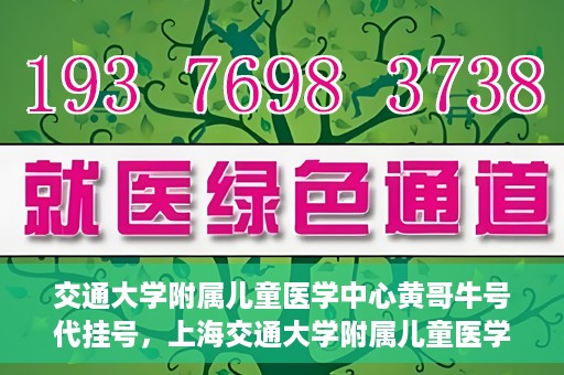 交通大学附属儿童医学中心黄哥牛号代挂号，上海交通大学附属儿童医学中心黄哥牛号代挂号解析与攻略